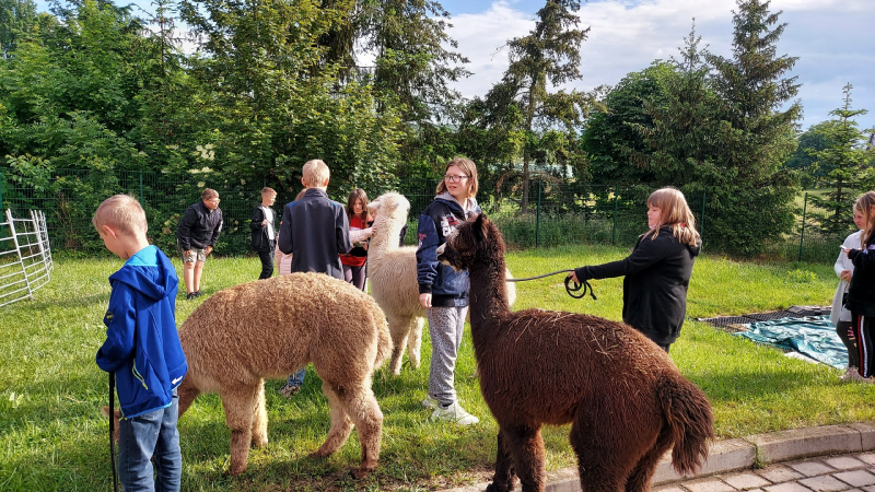 Homepage der Sekundarschule Roßla